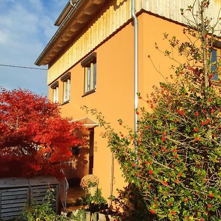 Appartement Haus Meersburg Rebe Extérieur photo