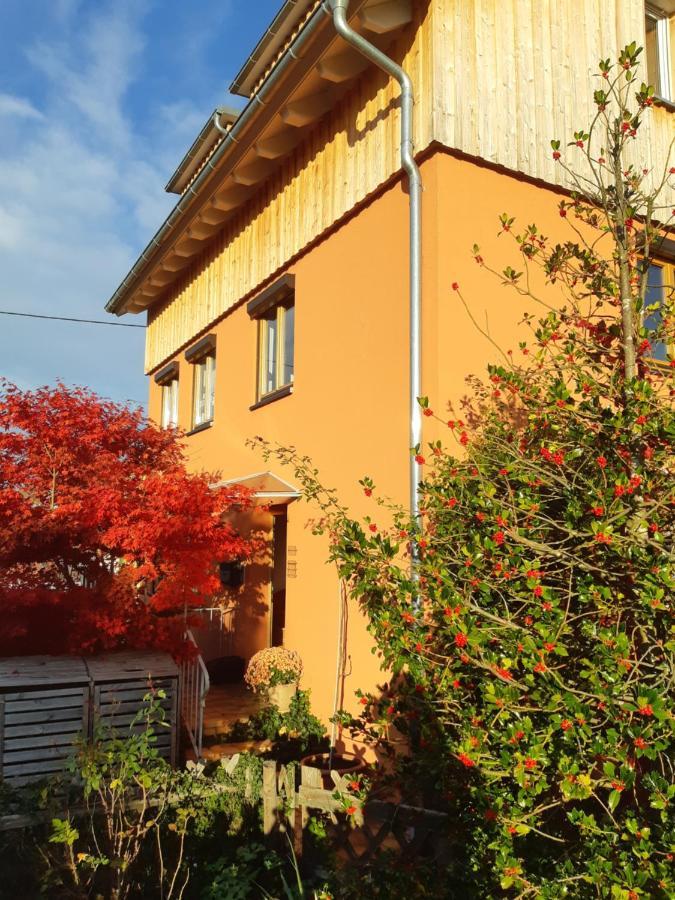 Appartement Haus Meersburg Rebe Extérieur photo